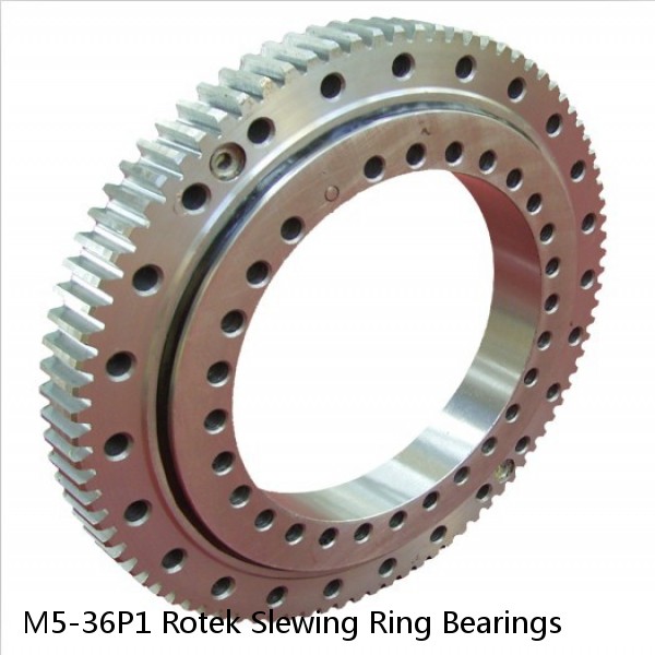 M5-36P1 Rotek Slewing Ring Bearings