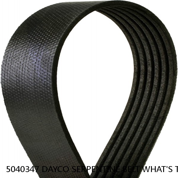 5040347 DAYCO SERPENTINE BELT WHAT'S THE BEST PRICE ON BELTS