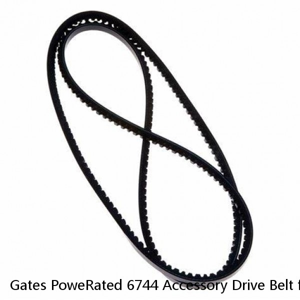 Gates PoweRated 6744 Accessory Drive Belt for 0425 0440 0M044 106508 108179 ao