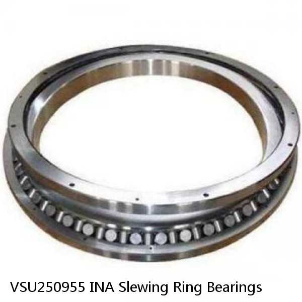 VSU250955 INA Slewing Ring Bearings