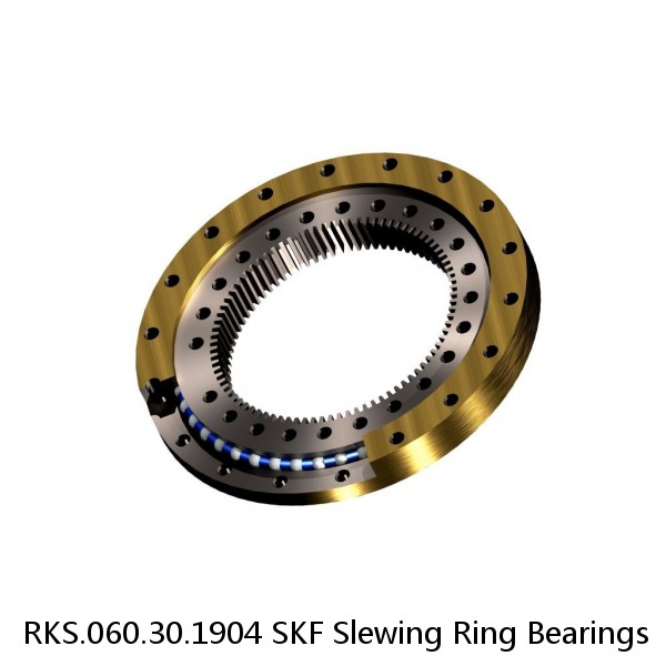 RKS.060.30.1904 SKF Slewing Ring Bearings