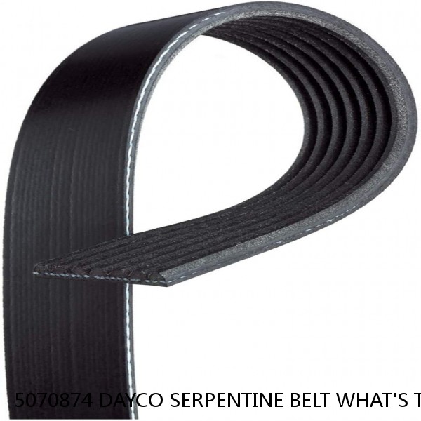 5070874 DAYCO SERPENTINE BELT WHAT'S THE BEST PRICE ON BELTS #1 small image