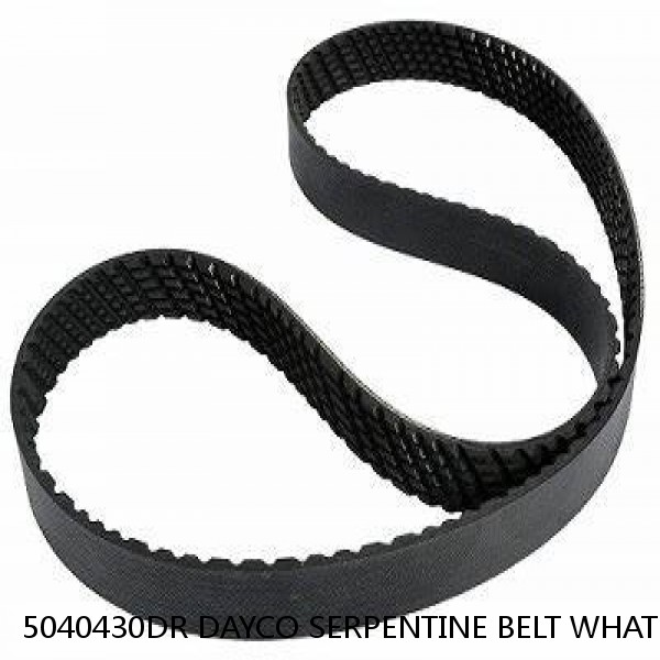 5040430DR DAYCO SERPENTINE BELT WHAT'S THE BEST PRICE ON BELTS #1 small image