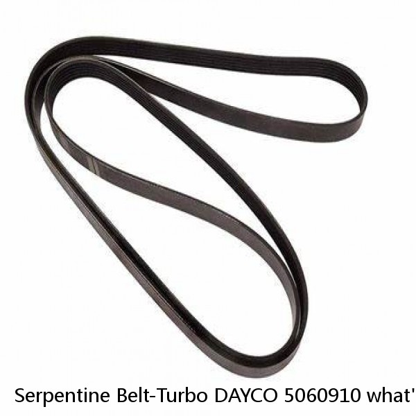 Serpentine Belt-Turbo DAYCO 5060910 what's the best belts to use #1 small image