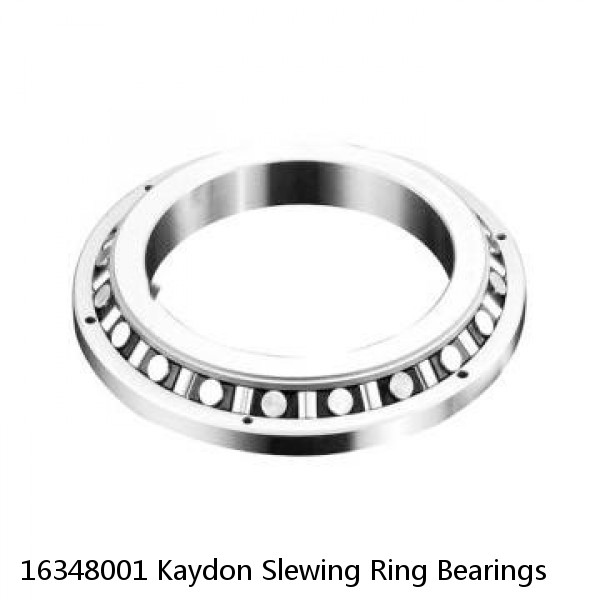 16348001 Kaydon Slewing Ring Bearings #1 image