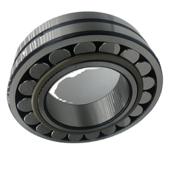 Custom Holga Pinhole Lens for Sony SLR&DSLR Camera #1 image