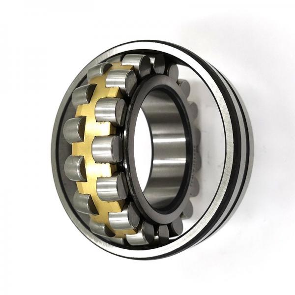 Hot Sale SKF Chrome Steel Snl 516 Bearing with Housing #1 image