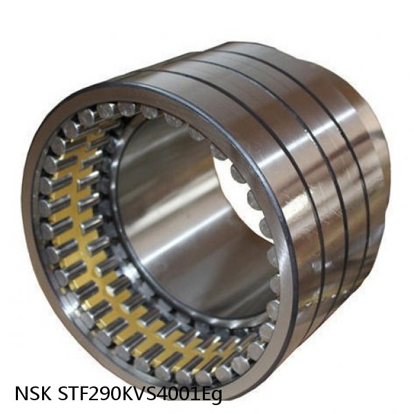 STF290KVS4001Eg NSK Four-Row Tapered Roller Bearing #1 image
