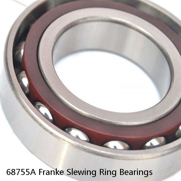 68755A Franke Slewing Ring Bearings #1 image