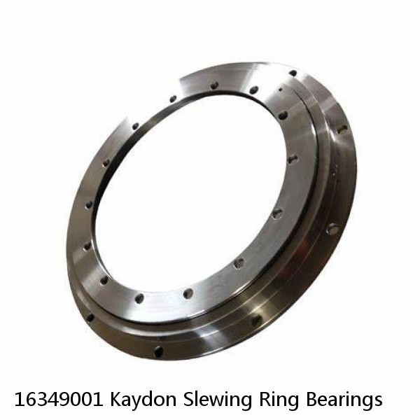 16349001 Kaydon Slewing Ring Bearings #1 image