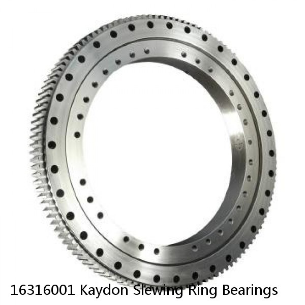 16316001 Kaydon Slewing Ring Bearings #1 image