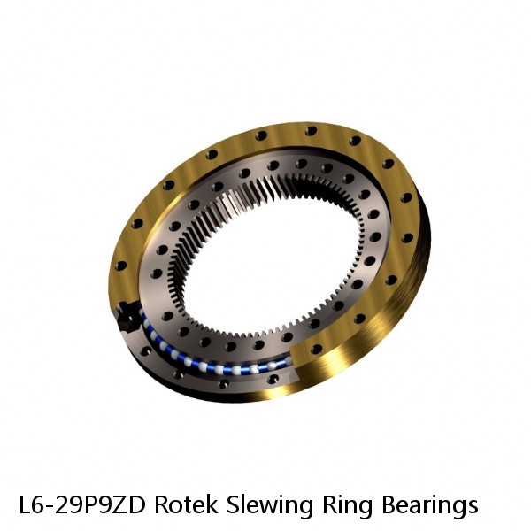 L6-29P9ZD Rotek Slewing Ring Bearings #1 image