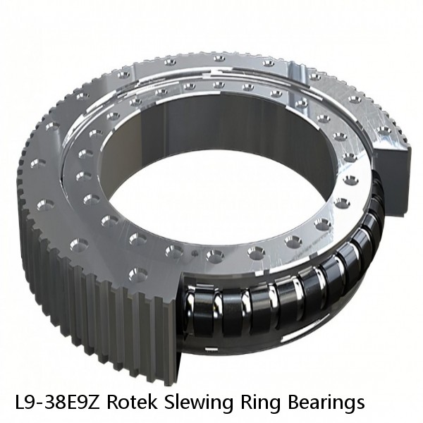 L9-38E9Z Rotek Slewing Ring Bearings #1 image