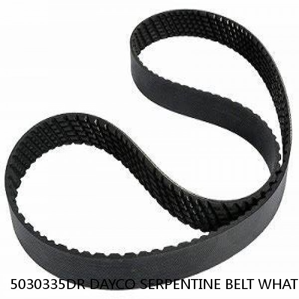 5030335DR DAYCO SERPENTINE BELT WHAT'S THE BEST PRICE ON BELTS #1 image